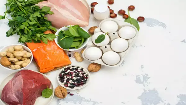 which protein helps in weight loss