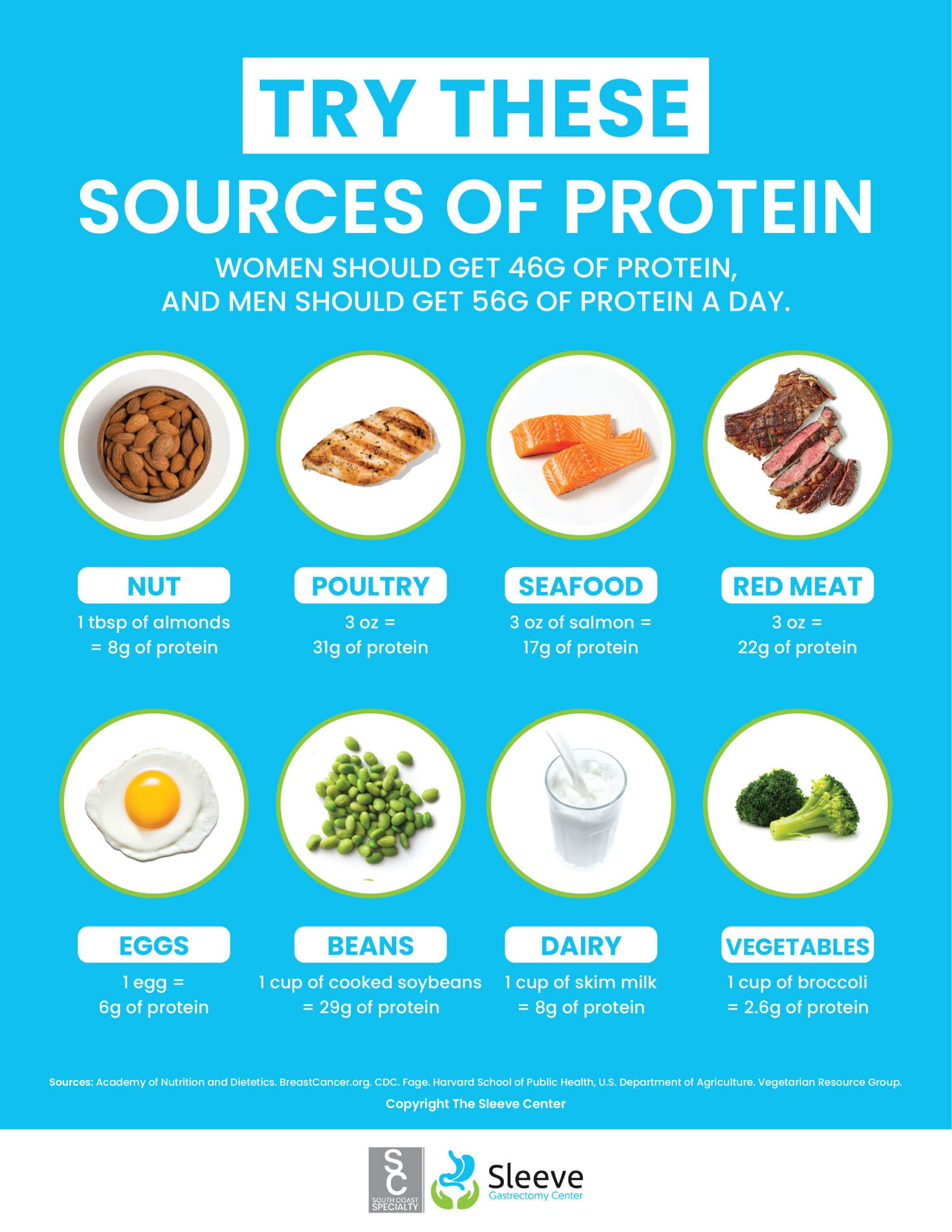 why is protein important for weight loss