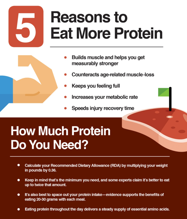 why protein intake is important for weight loss