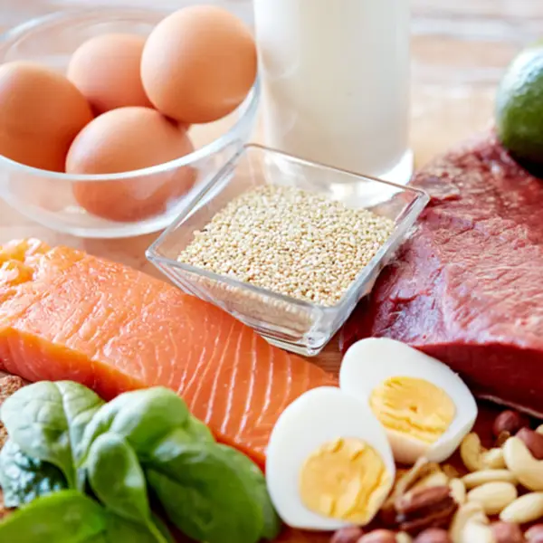 what is a high fat and protein diet