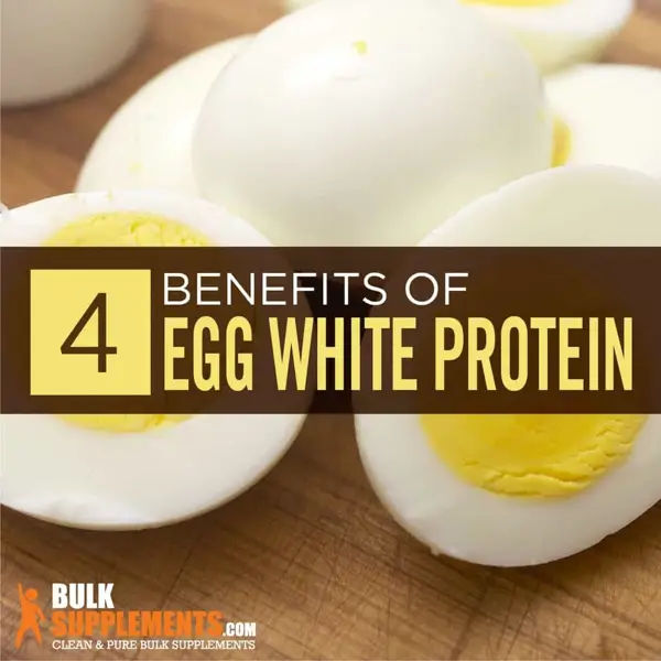 Source of Egg White Protein