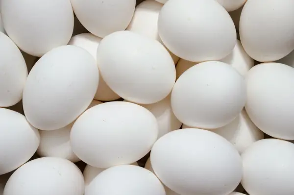 is egg white protein bad for you