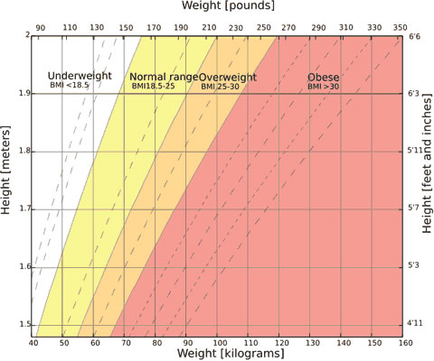 Understanding Body Mass Index (BMI)