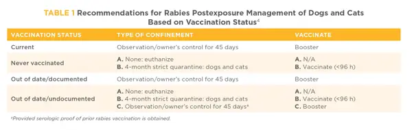Common Myths about Rabies Vaccinations