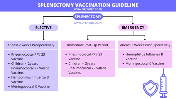 pneumococcal vaccine guidelines splenectomy