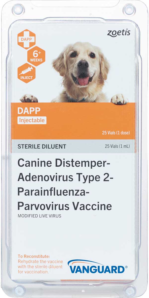 2. Importance of Vaccinating Your Dog