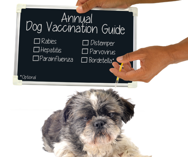 5 in 1 vaccine for dogs price philippines