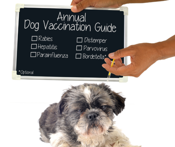9 in 1 vaccine for dogs price