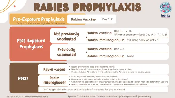 rabies vaccine dose schedule intradermal