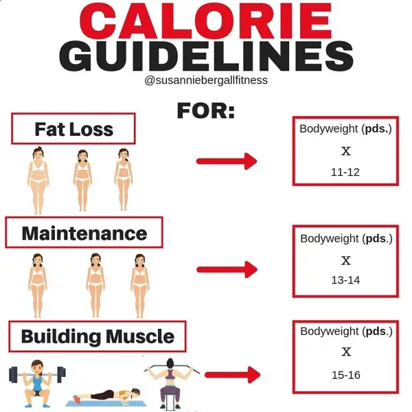 Effect of Calories on Weight Loss