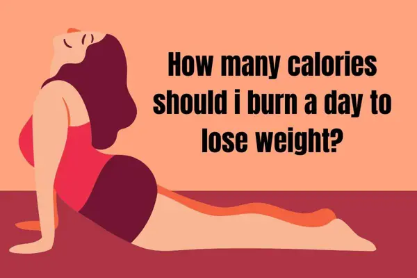if i burn 1700 calories a day how much should i eat to lose weight