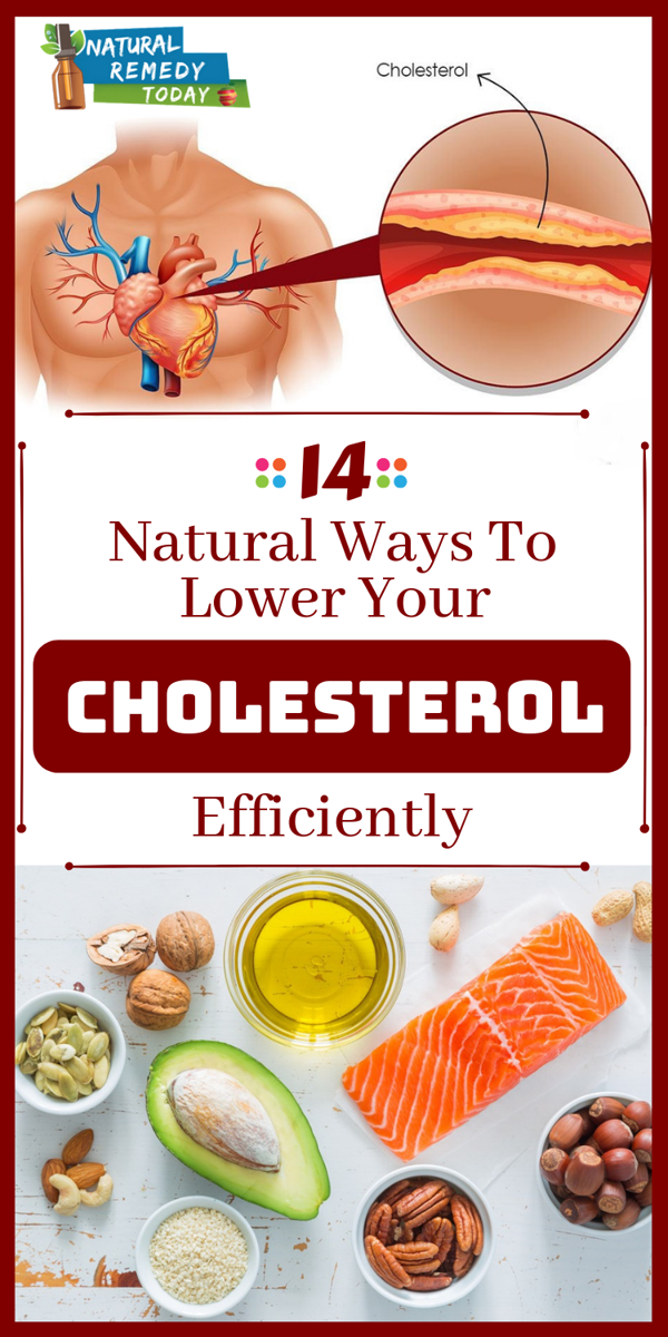 diet plan for high cholesterol and weight loss