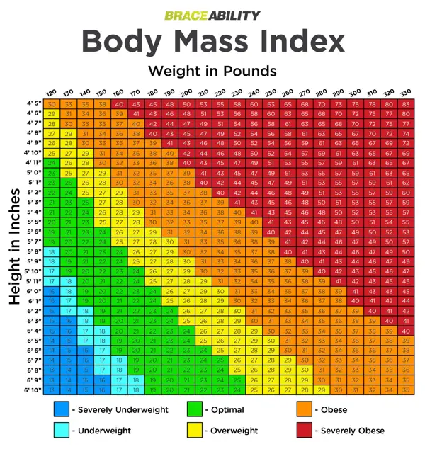 Understanding BMI Categories