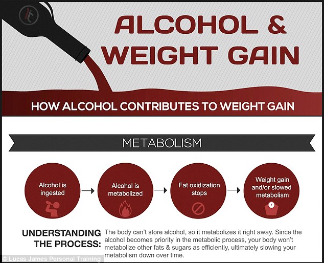 The Influence of Weight on Alcohol Metabolism