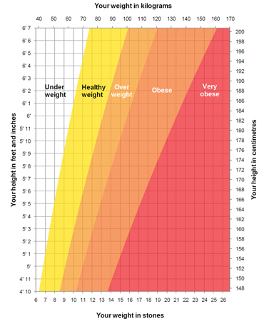 The Relationship Between Height and Weight