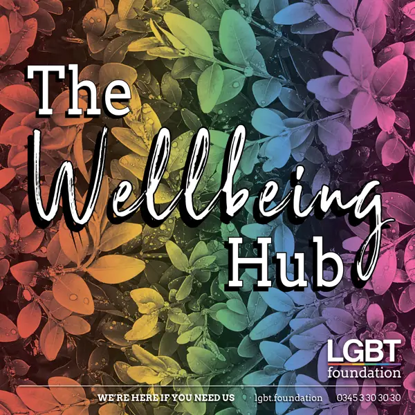 Accessibility of Wellbeing Hubs
