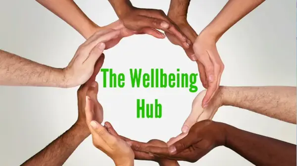 Impact of Wellbeing Hubs