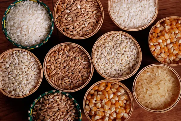 what is a grain diet